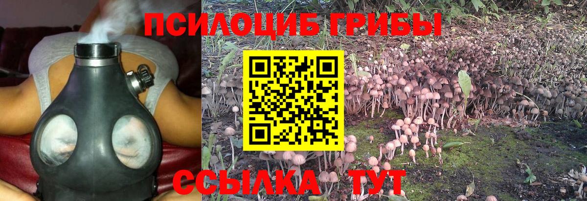 хочу   Псилоцибиновые грибы Psilocybe  Вход с VPN  Екатеринбург  Псилоцибиновые грибы прущие грибы 