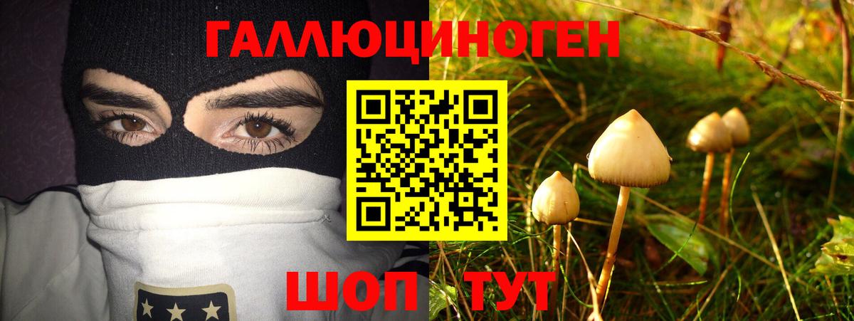 Галлюциногенные грибы мухоморы Екатеринбург